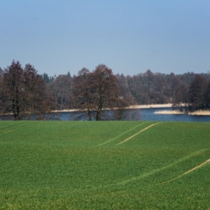 DSC09806-Edit-2